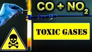 Nitrogen Dioxide and Carbon Monoxide interaction