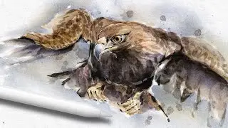 Painting watercolor Eagle | Procreate