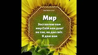 Мир   Від Івана 
