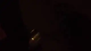 Ford Shelby GT1000 Exhaust Burn:)
