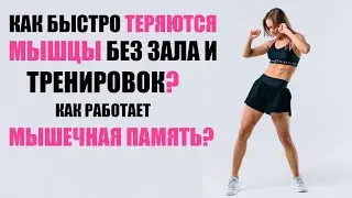 МЫШЕЧНАЯ ПАМЯТЬ СУЩЕСТВУЕТ? // КАК БЫСТРО ИСЧЕЗАЮТ МЫШЦЫ?