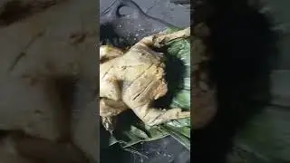 hasil buruan panggang ayam hutan#shorts #viral #subscribe #shortfeed