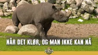 Når det klør