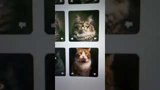 zoo.replicate.dev | a playground for text to image models #ai #models