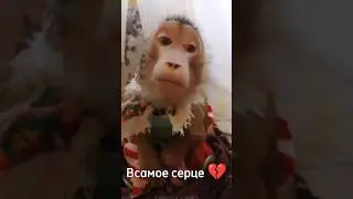 В САМАЕ СЕРДЦЕЕЕ 💔 