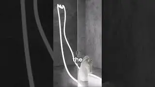 Are you up-to-date with Enscape's latest updates? 🧡