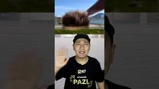 СҰМДЫҚ ҚЫМБАТ ЖАСТЫҚ 😑