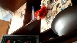 Челенж не засмеялся🙌🙌🙌🙌🙌