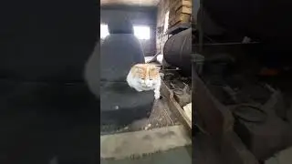 делаю соседу помошника