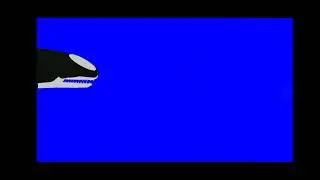 Brygmophyseter Test