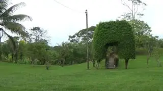 OMOA 21-06-18  A`s  hacienda