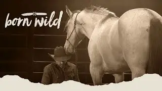 Training A Wild Horse In An Hour | Born Wild 9am (LIVE)