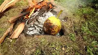 Lockdown Breadfruit Harvest and Campfire Cooking