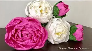 Peonies from Corrugated Paper! The Easiest Way!