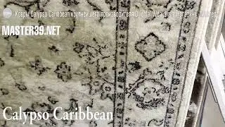 Calypso Caribbean