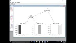 Decision Tree Classification in R  (rpart - evtree - tree libraries)