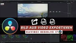 Davinci Resolve Bild exportieren | Davinci Resolve 17 Tutorial (Deutsch)