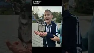 лето