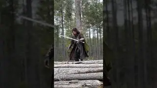 What if Aragorn had done this in Lord of the Rings? 