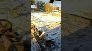 пилорама в деревне