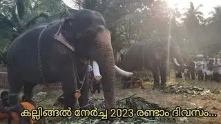 Kott Kallingal Nercha 2023 Day 02 | കല്ലിങ്ങൽ നേർച്ച രണ്ടാം ദിവസം