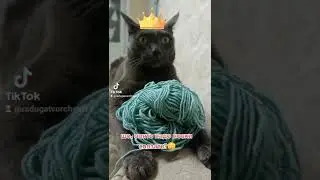 Минутка вязального юмора)
