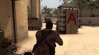 coach in csgo