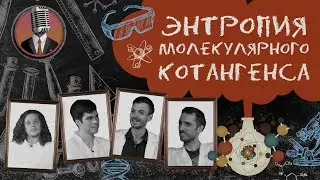 Энтропия молекулярного котангенса. Семинар №11