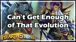 [Hearthstone] Can’t Get Enough of That Evolution