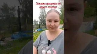 Очень ароматный базилик. #деревня #жизньзагородом #летовдеревне #базилик