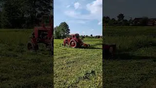 3 червня 2024 р.