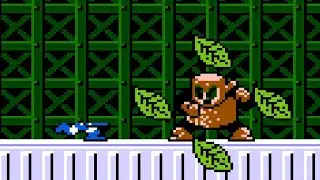 Mega Man 2 Zipless TAS but only the frames where it flickers