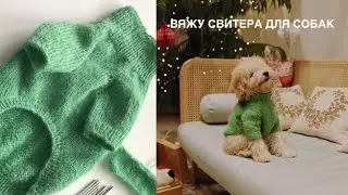 ВЯЖУ ДЛЯ СОБАК НА ЗАКАЗ. СВИТЕР ИЗ МОХЕРА SUPER KID MOHAIR GAZZAL