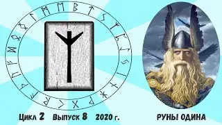 #15. Руна Альгиз. Ее толкование. Как понять ответ Оракула на ваш вопрос?