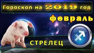 Гороскоп на февраль 2019 года для Знака Зодиака Стрелец
