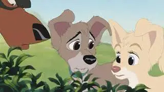 Леди и бродяга (одиночество)
