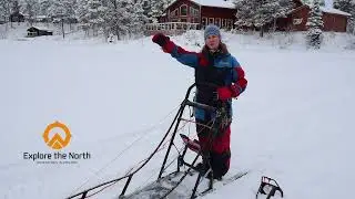 Safety Huskysled Nederlands