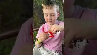 Сюрприз для детей! Идея для подарка в детский сад