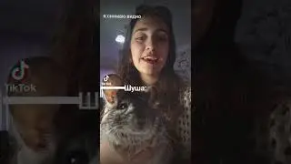 #шиншилла #я