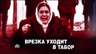 ЧП. Расследование.  