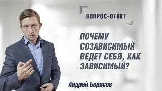 Почему созависимый ведет себя, как зависимый? Андрей Борисов