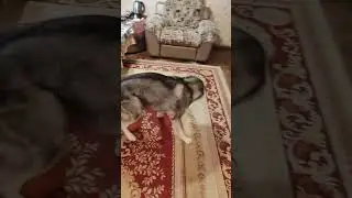 Нужен гол, нужен два! нужен кубок УЕФА!