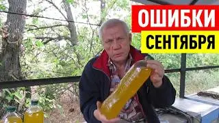 Профилактика от нозематоза  Борьба с пчелиным воровством