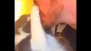 котик