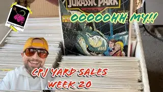 KEEP IT GOING!! CPJ Yard Sales Week 20 #yardsalefinds #yardsale #retrovibes  #collector #comicbooks