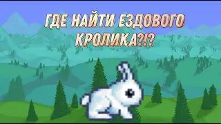 Как найти ездового питомца Кролика в Terraria 1.4?!?