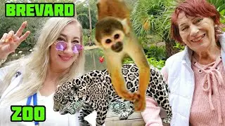 ОБЕЗЬЯНЫ РАССМЕШИЛИ//ВПЕЧАТЛЕНИЯ МАМЫ ОТ ЗООПАРКА// BREVARD ZOO