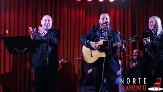 RUMBA FIESTA GROUP