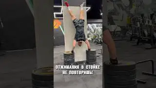 Умеешь отжиматься в стойке на руках? #shorts #handstandpushup