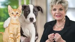 Spiritual Truths We Can Learn... From Our Pets! | Dr. Clarice Fluitt | Wisdom to Win